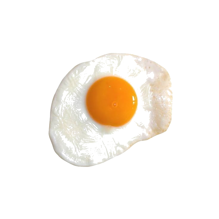 egg